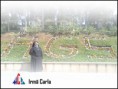 /album/galeria-de-fotos/ir-carla-jpg/
